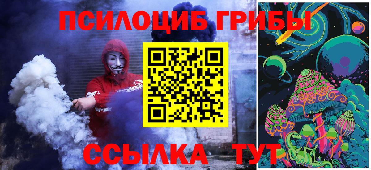 Галлюциногенные грибы Psilocybine cubensis Верхняя Салда
