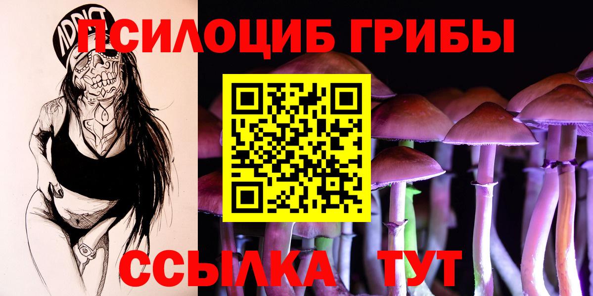 Псилоцибиновые грибы Cubensis  Вход с VPN  Верхняя Салда  Галлюциногенные грибы мицелий 